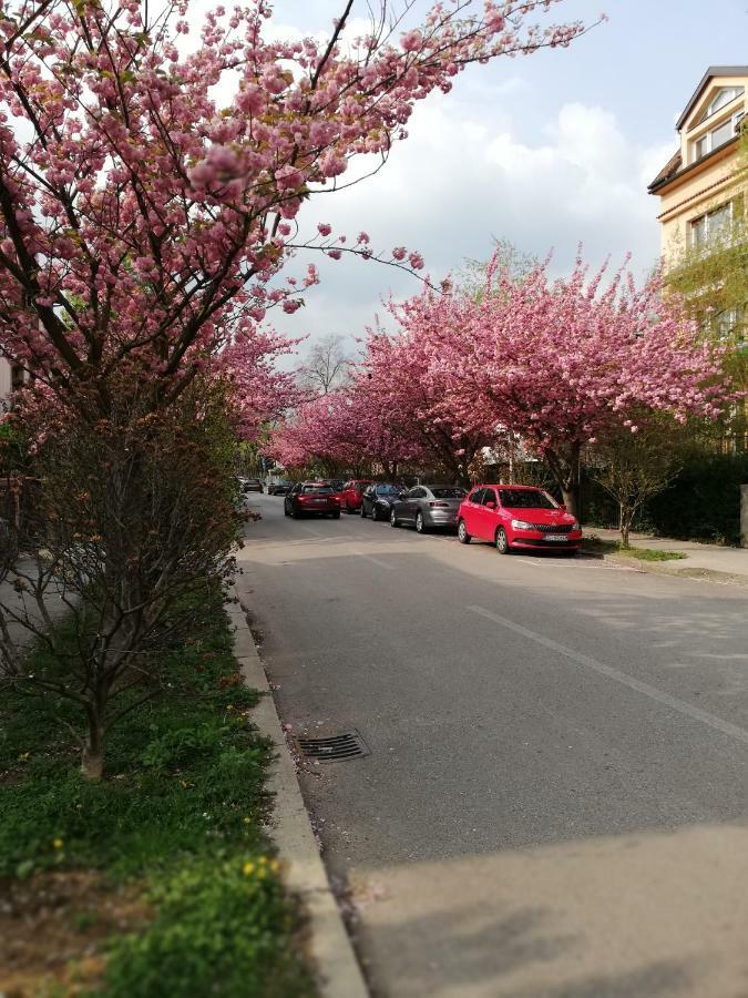 Irena'S Home Away From Home Загреб Екстериор снимка
